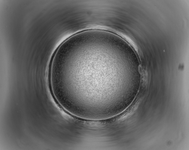X0000098201007200805011142