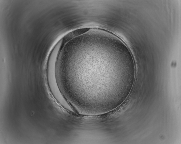 X0000098201008200805011142