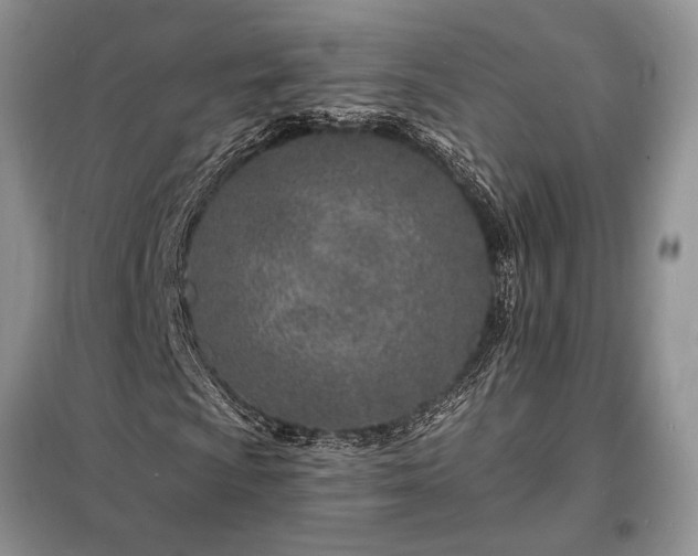 X0000098201009200805011141