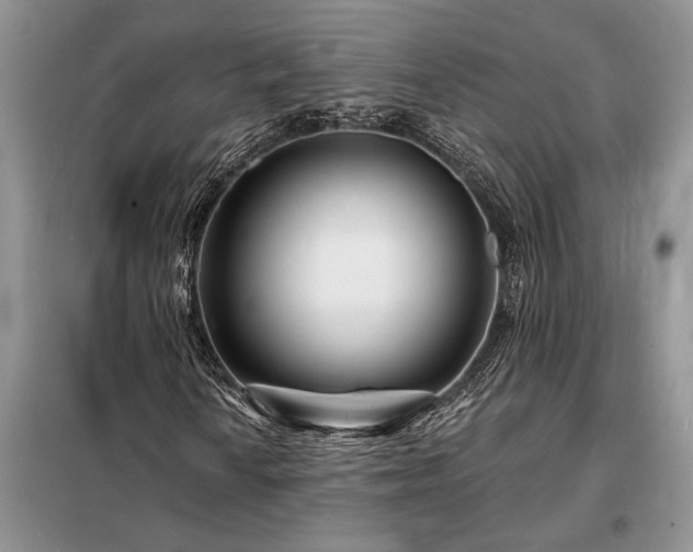X0000098201010200805011141