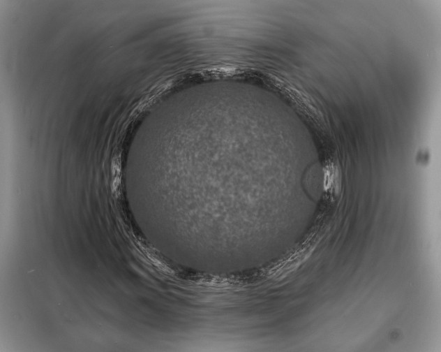 X0000098201011200805011141