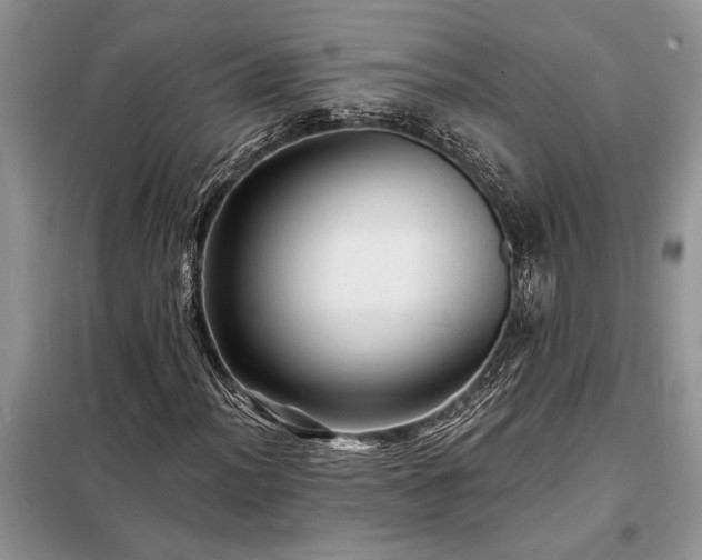 X0000098201012200805011141