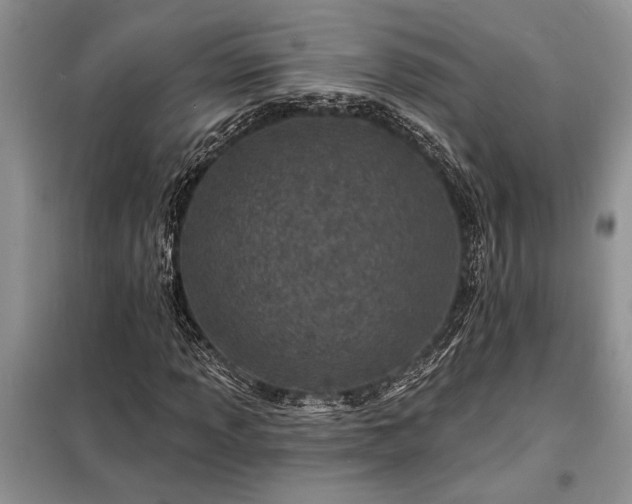 X0000098201013200805011141