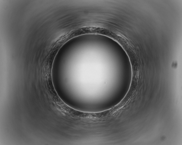 X0000098201014200805011141