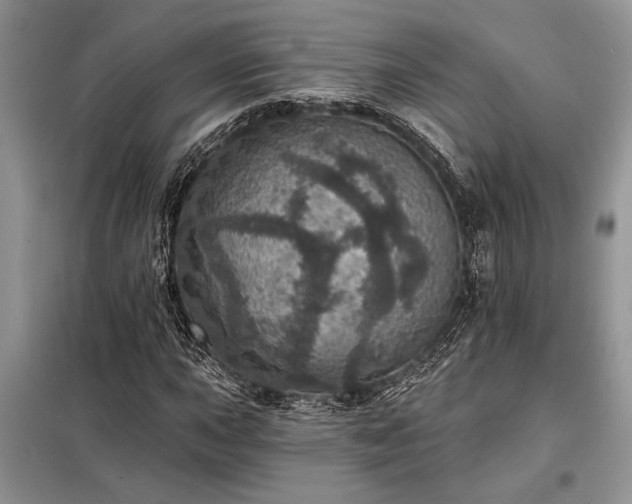 X0000098201015200805011141