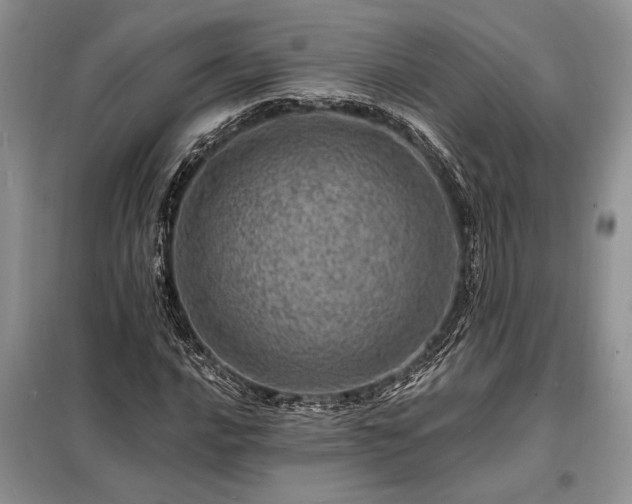 X0000098201016200805011141