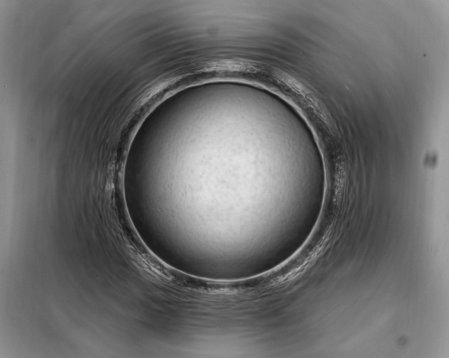 X0000098201017200805011141