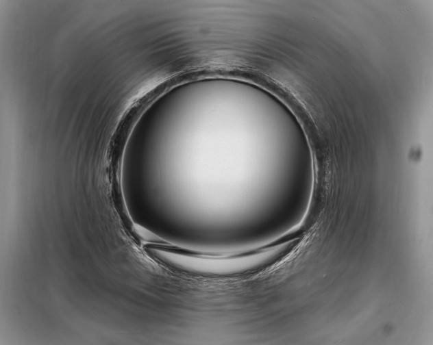 X0000098201018200805011141