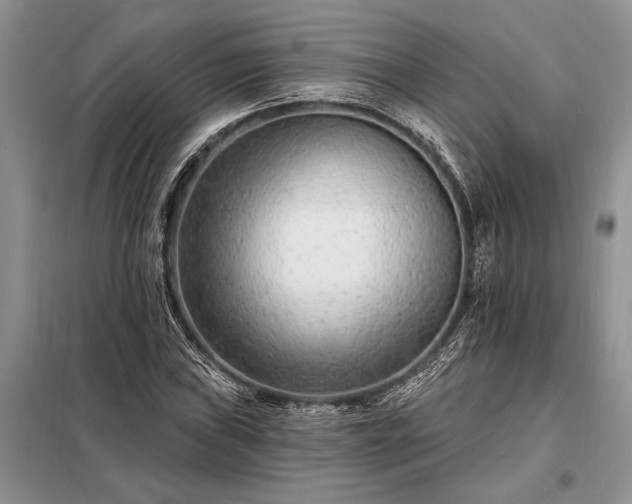 X0000098201019200805011141