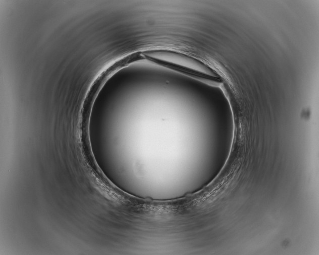 X0000098201020200805011141