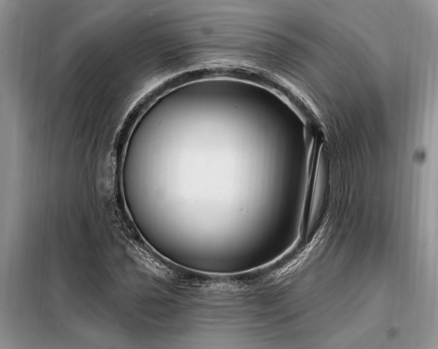 X0000098201021200805011141