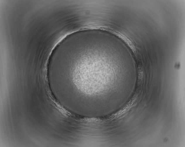 X0000098201023200805011141