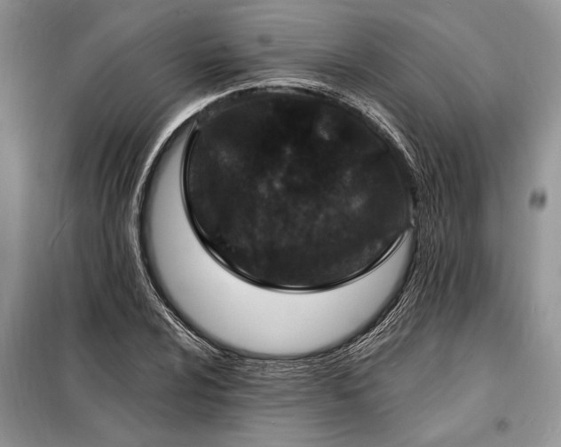 X0000098201024200805011141