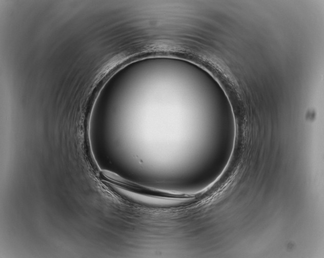 X0000098201025200805011141