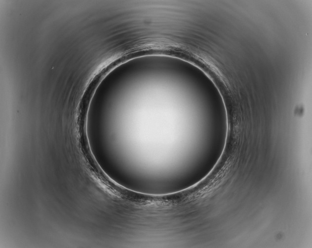 X0000098201026200805011141