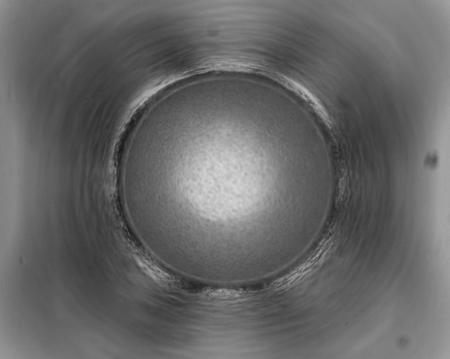 X0000098201027200805011141