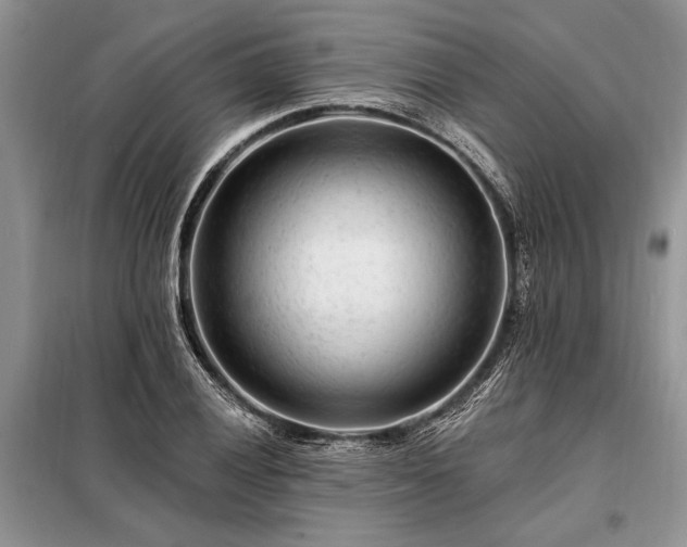 X0000098201028200805011141