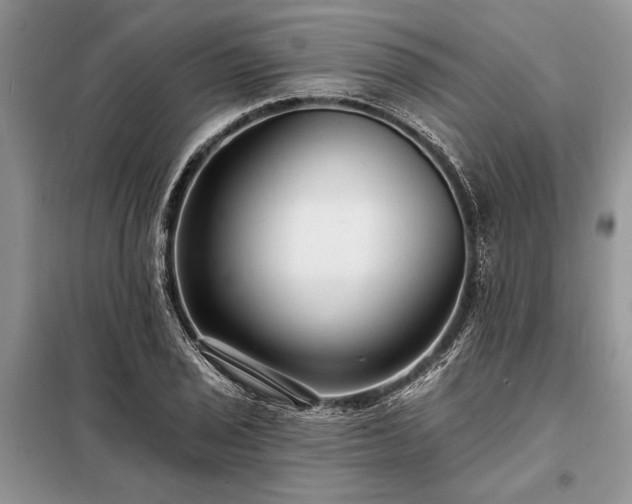 X0000098201029200805011141