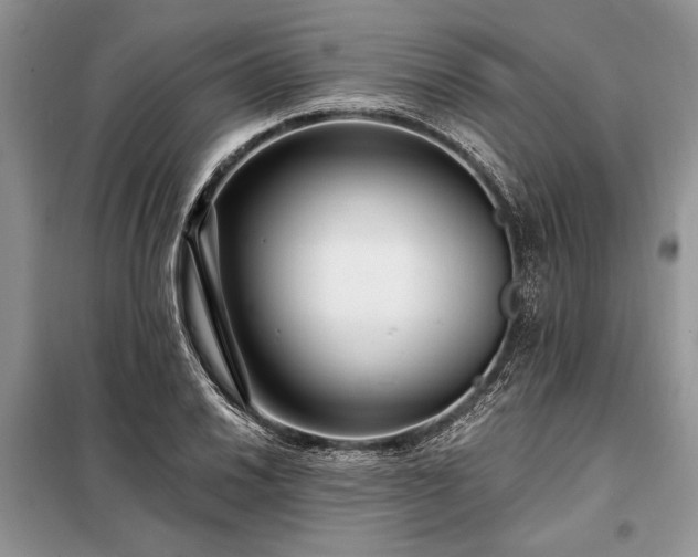 X0000098201030200805011141