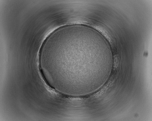 X0000098201031200805011141