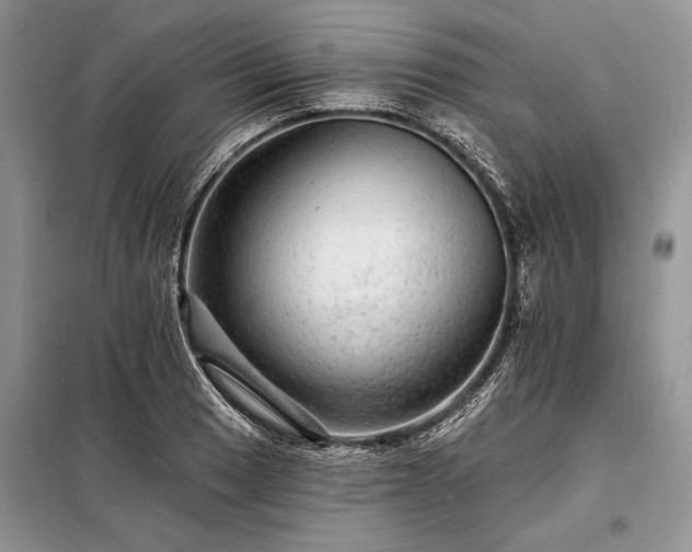 X0000098201033200805011142