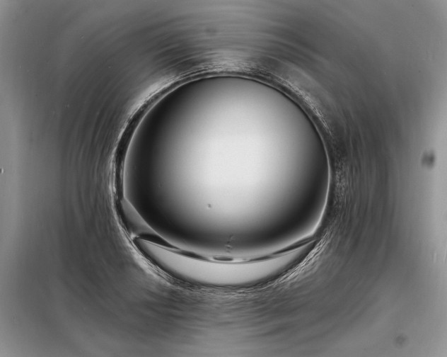X0000098201034200805011142