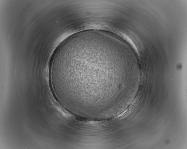 X0000098201035200805011142