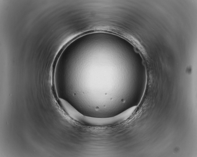 X0000098201036200805011142