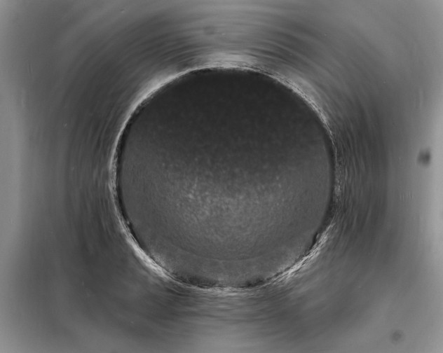 X0000098201037200805011142