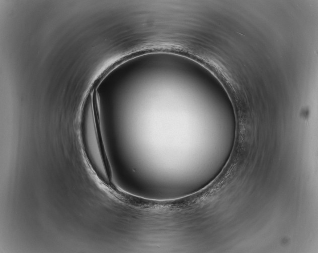 X0000098201038200805011142