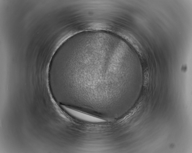 X0000098201039200805011142