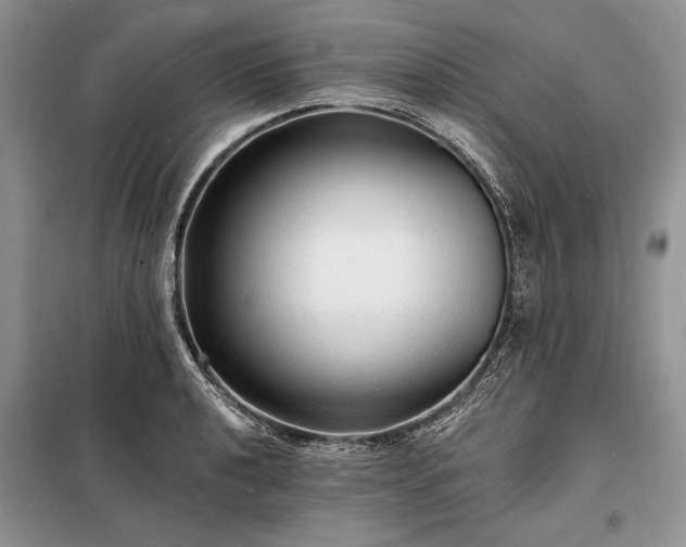 X0000098201040200805011142