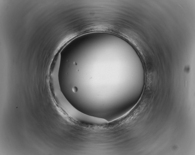 X0000098201042200805011142