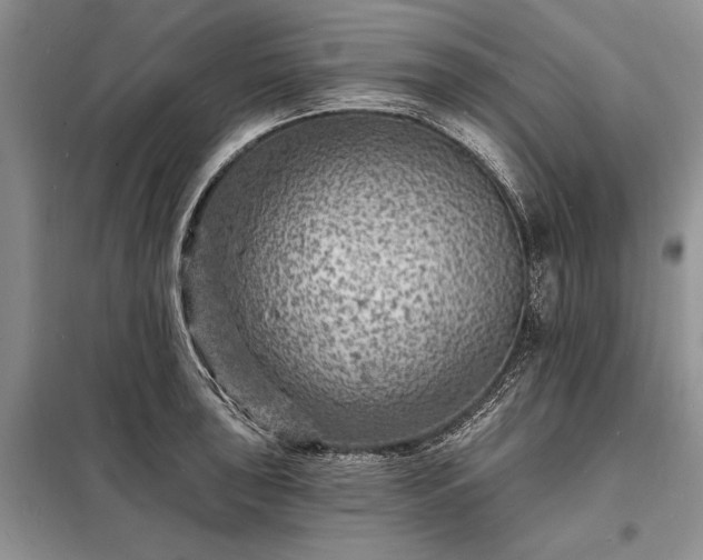 X0000098201043200805011142