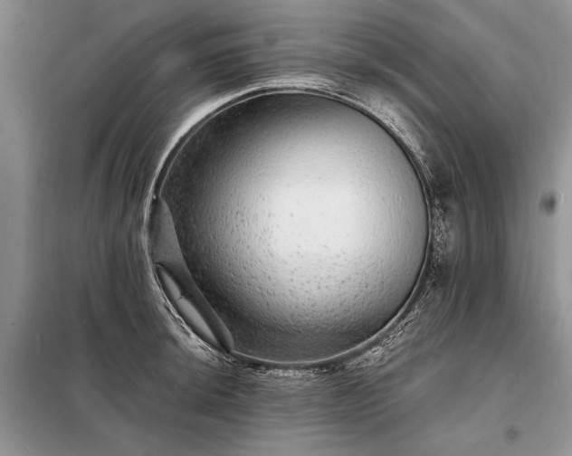 X0000098201044200805011142