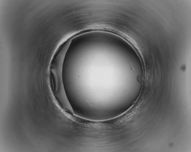 X0000098201045200805011142