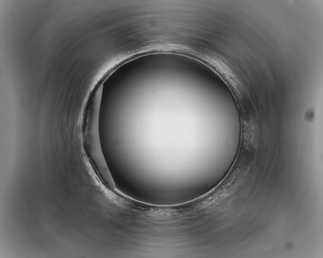 X0000098201046200805011142