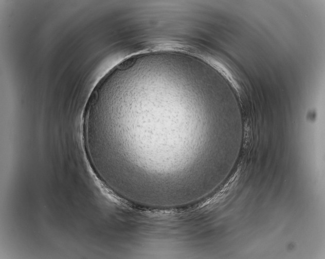 X0000098201047200805011142