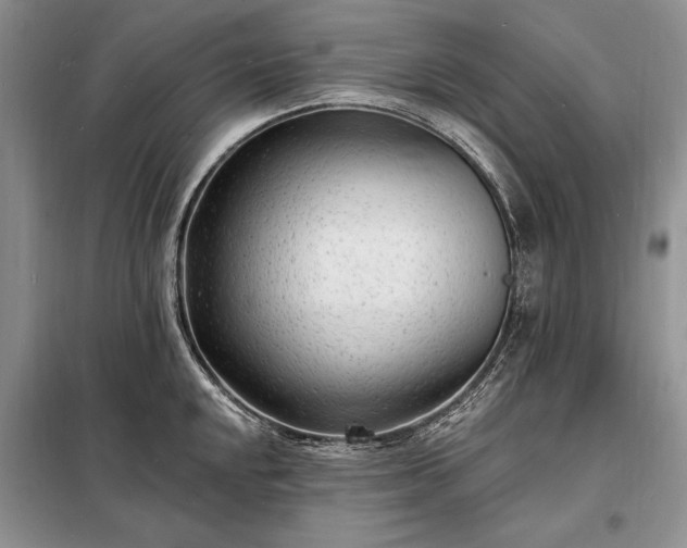 X0000098201048200805011142