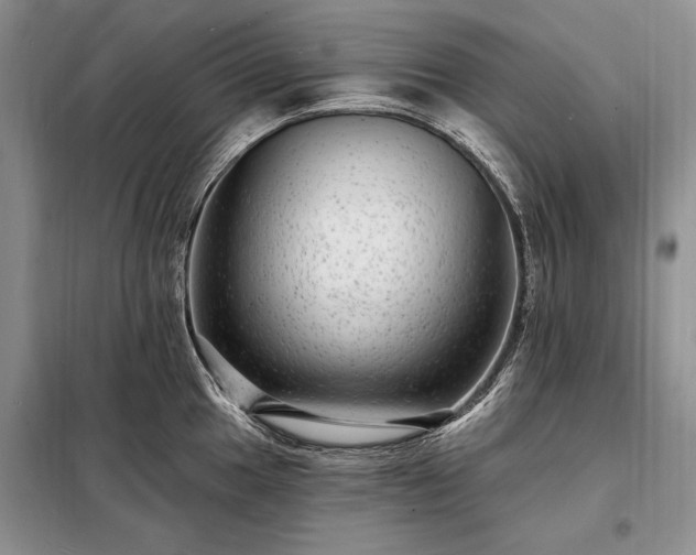 X0000098201049200805011142