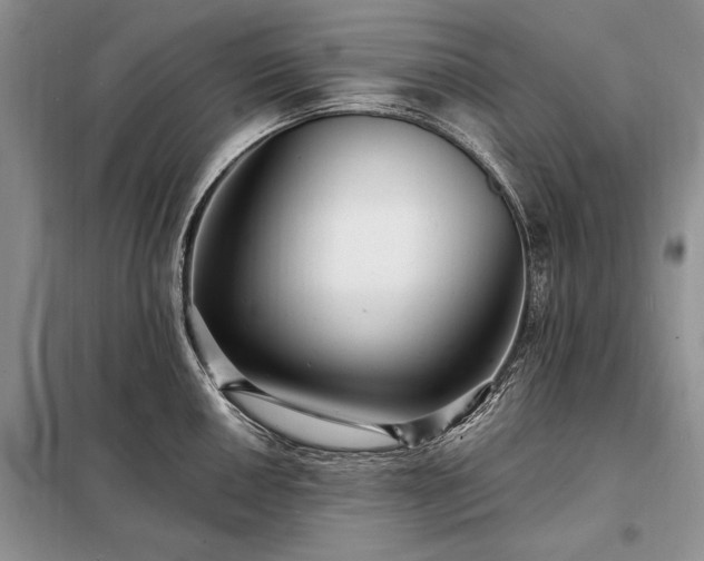 X0000098201050200805011142