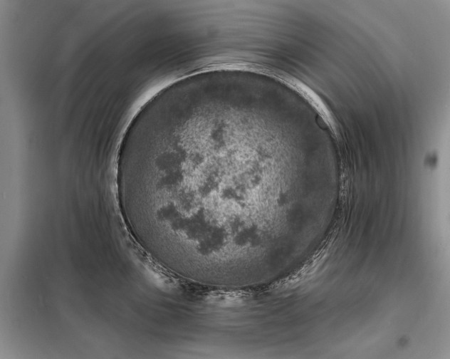X0000098201051200805011142
