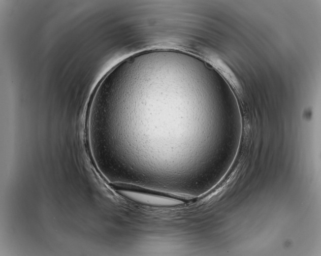 X0000098201052200805011142