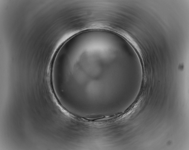 X0000098201053200805011142