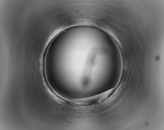 X0000098201054200805011142