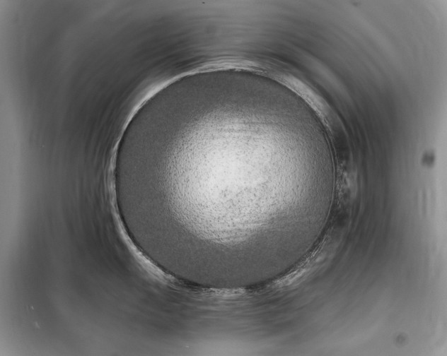 X0000098201055200805011142