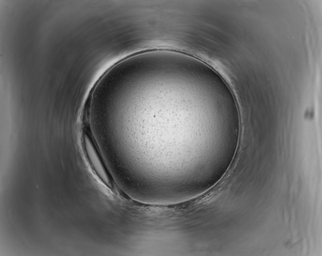 X0000098201056200805011142