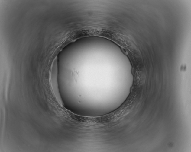 X0000098201057200805011141
