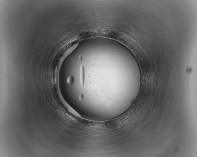 X0000098201058200805011141