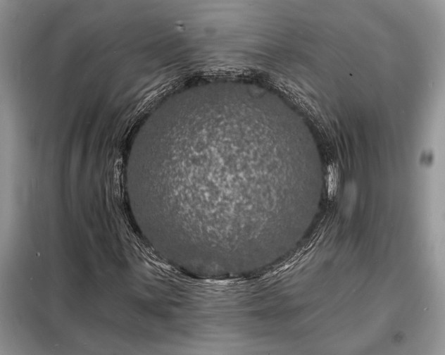 X0000098201059200805011141